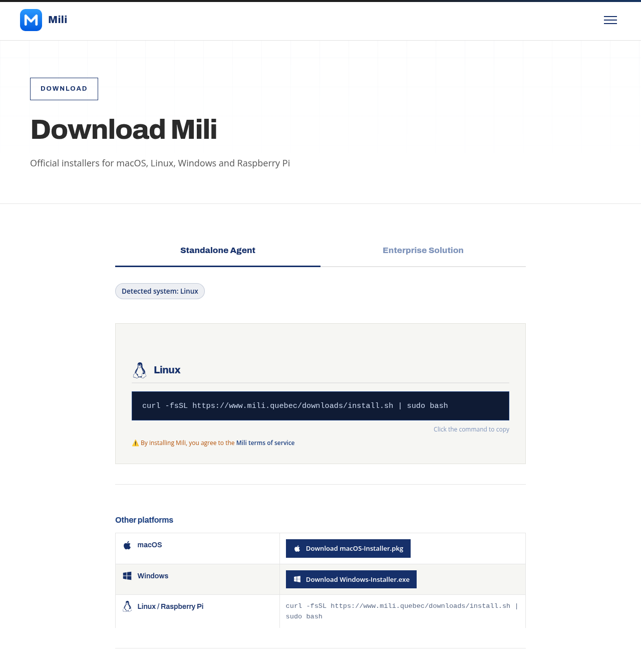 The download page shows the installer for your system.